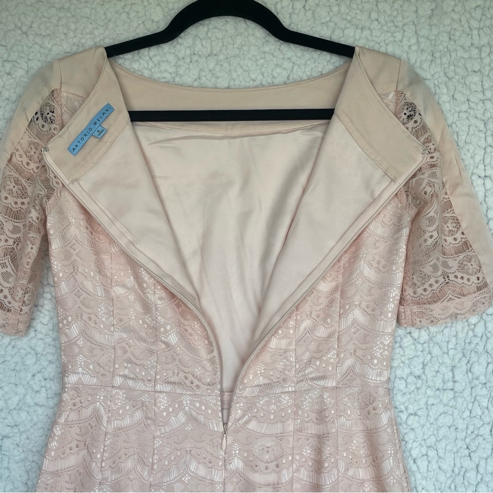 ANTONIO MELANI Blush Lace Sheath Dress - Picture 16 of 16